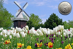 Отдается в дар «Nederland, монеты»