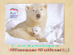 Отдается в дар «Девять медвежат»