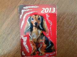 Отдается в дар «календарики с собаками»