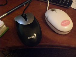 Отдается в дар «Компьютерная мышь»