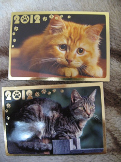 Отдается в дар «Календарики кошки»