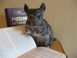 Отдается в дар «учебник английского Бонк»