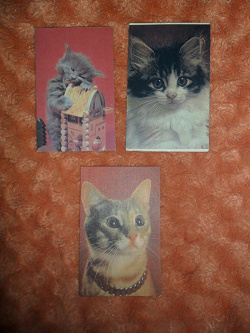 Отдается в дар «Календари с кошками»