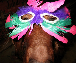 Отдается в дар «Carnival Mask»