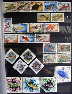 Отдается в дар «Почтовые марки Рыбы»