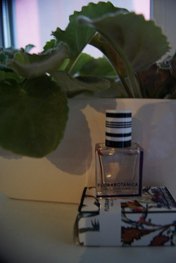 Отдается в дар «florabotanica balenciaga»