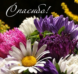 Отдается в дар «Фурнитура к одежде и обуви»