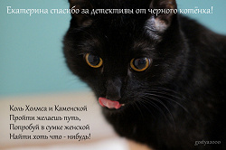 Отдается в дар «Детские детективы «Черный котенок»»