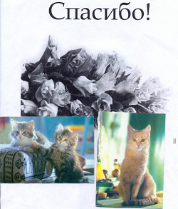 Отдается в дар «Календарики Кошки 2000год»