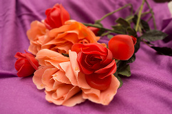 Отдается в дар «Искусственные розы»