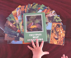 Отдается в дар «Набор открыток «Пестрый мир аквариума»»