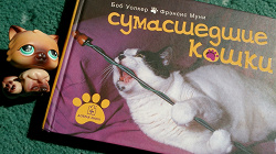 Отдается в дар «Боб Уолкер, Фрэнсис Муни. «Сумасшедшие кошки»»