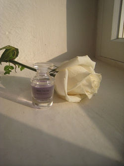 Отдается в дар «Маленький флакончик духов Iris Noir»