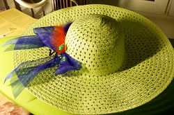 Отдается в дар «Зелёная шапка.»
