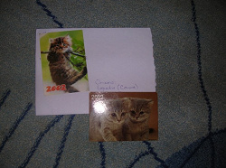 Отдается в дар «Календарики с кошками :3»