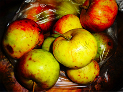 Отдается в дар «Яблоки свежие»