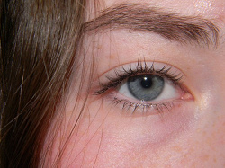 Отдается в дар «Estee Lauder Lash Primer Plus»