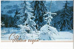Отдается в дар «открытка новогодняя»