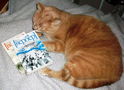 Отдается в дар «Книги»