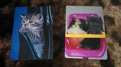 Отдается в дар «Календарики с котами.»