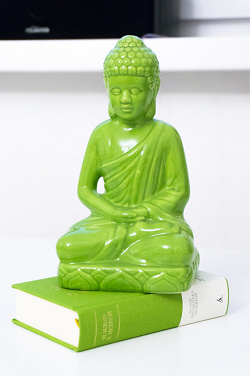 Отдается в дар «Будда»