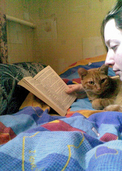 Отдается в дар «Книги»