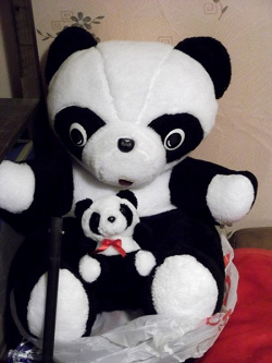 Отдается в дар «мягкие игрушки — панда»