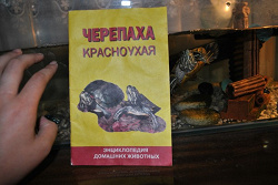Отдается в дар «книжка о черепахах»