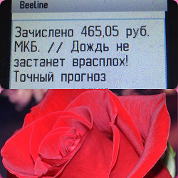 Отдается в дар «450 руб на телефон.»