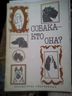 Отдается в дар «о собаках»