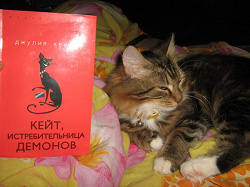 Отдается в дар «модное чтиво»