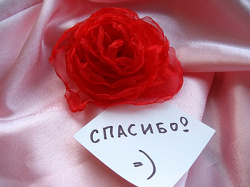Отдается в дар «Цветок из органзы»
