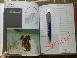 Отдается в дар «Планнинг (ежедневник)»