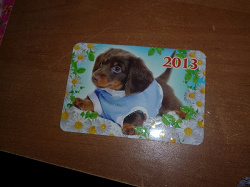 Отдается в дар «Календарики с собачками на 2013г.»