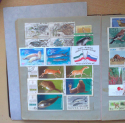 Отдается в дар ««Сохраним природу Каспийского моря» — сцепка почтовых марок»