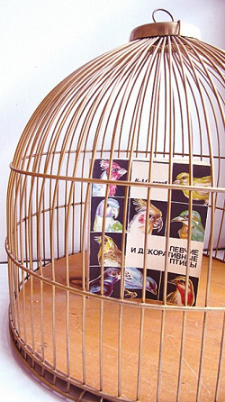 Отдается в дар «книги для любителей птиц»