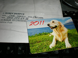 Отдается в дар «календарики животные 2011 г.»