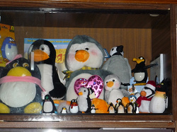 Отдается в дар «Влюбленные пингвины.»