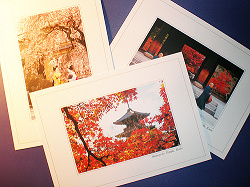 Отдается в дар «открытки с видами Киото»