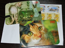 Отдается в дар «календарики-кошки»