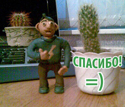 Отдается в дар «Кактус»