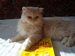 Отдается в дар «книга»