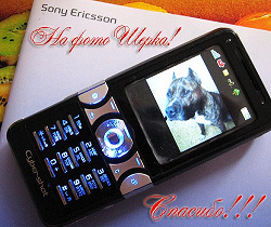 Отдается в дар «телефон sony ericsson k-550i»