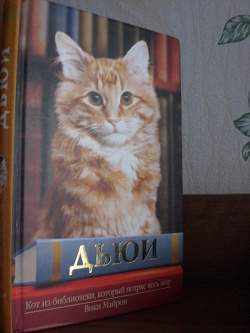 Отдается в дар «Книга для любителей кошачьих)»