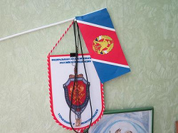 Отдается в дар «ВДПО»