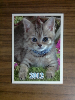 Отдается в дар «Календарики 2012»