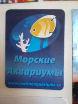 Отдается в дар «Магниты»