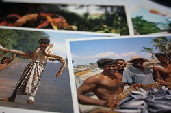 Отдается в дар «Сувенирные открытки из Шри Ланки.»