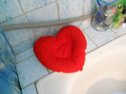 Отдается в дар «Подушка для ванной «Сердце»»