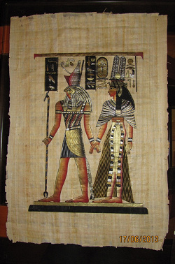 Отдается в дар «папирус»